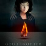 Read more about the article The Good Brother by E. L. Chen